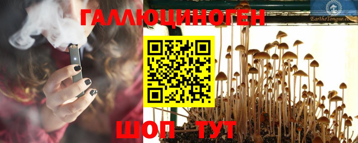 Псилоцибиновые грибы мицелий Барнаул
